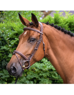 Bridon Jump'In One Paris Havane 2