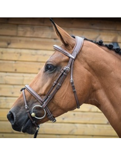 Bridon Jump'In One London Noisette 2