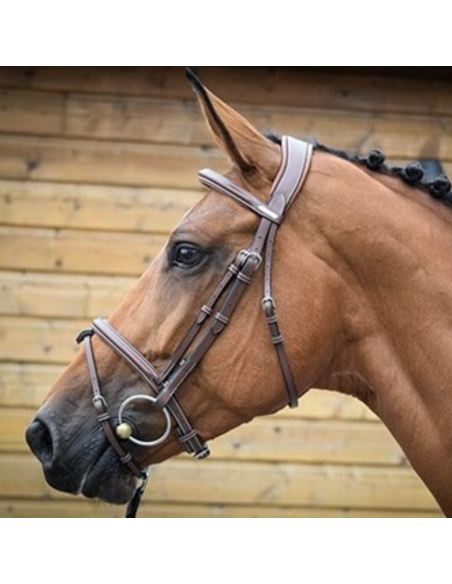 Bridon Jump'In One London Noisette