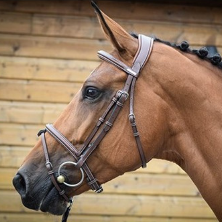 Bridon Jump'In One London Noisette