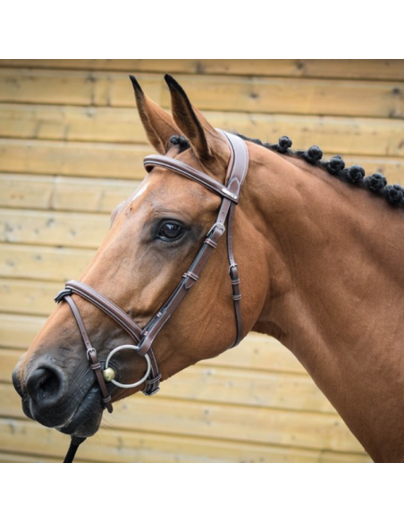 Bridon Jump'In One London Noisette