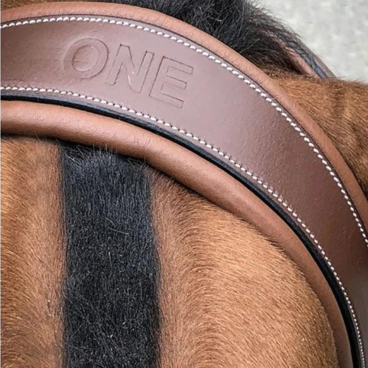 Bridon Jump'In One London Noisette