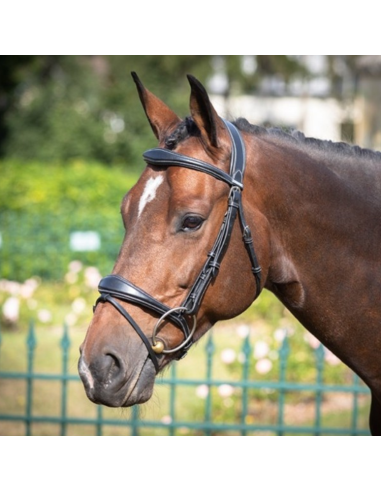 Jump'In One Brussels Bridle Black