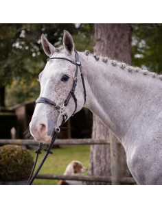 Bridon Jump'In Week Hackamore Noir