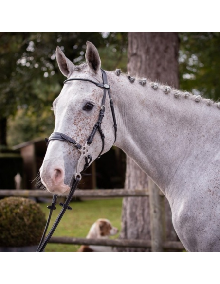 Bridon Jump'In Week Hackamore Noir