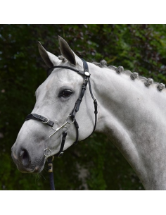 Bridon Jump'In Week Hackamore Noir 2