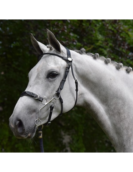 Bridon Jump'In Week Hackamore Noir
