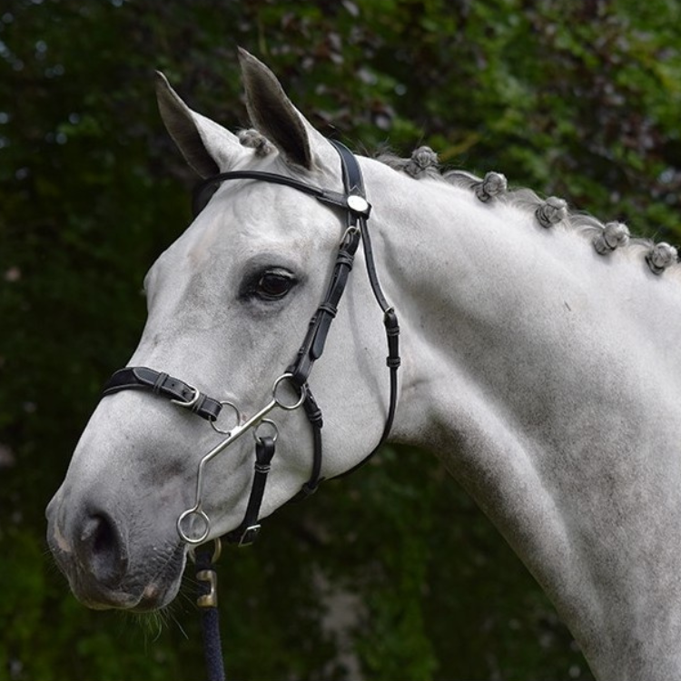Bridon Jump'In Week Hackamore Noir