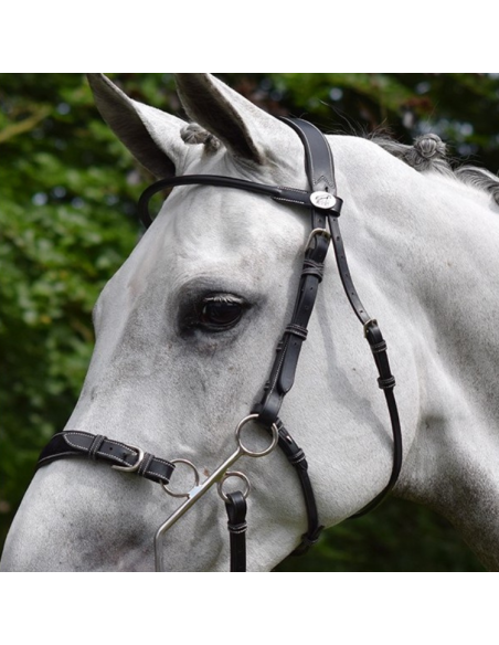 Bridon Jump'In Week Hackamore Noir