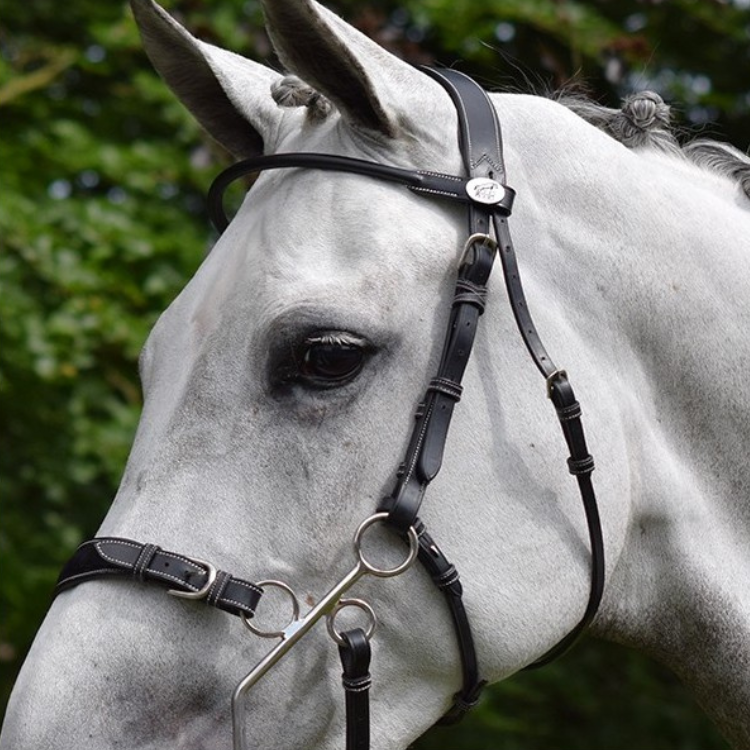 Bridon Jump'In Week Hackamore Noir
