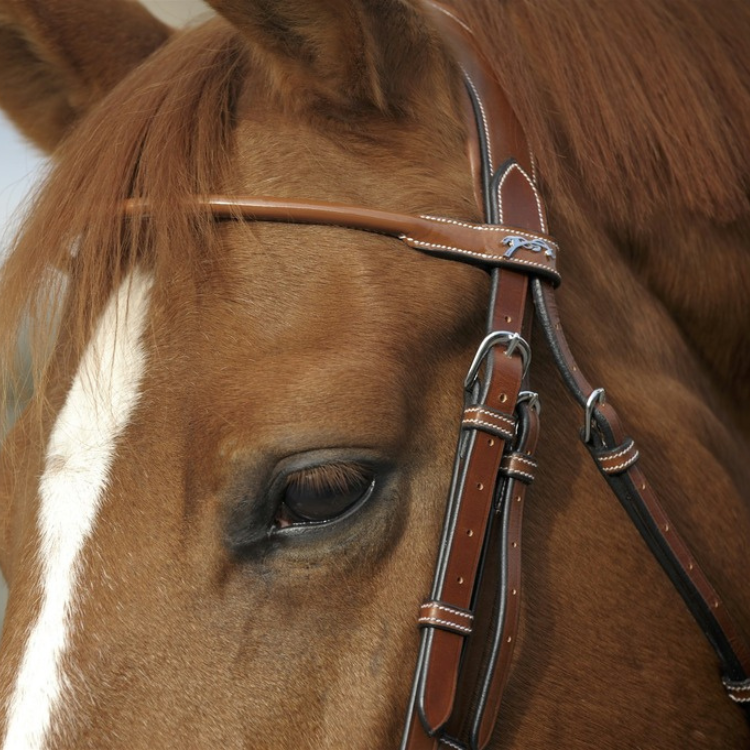 Bridon Penelope "Point Sellier" Noisette