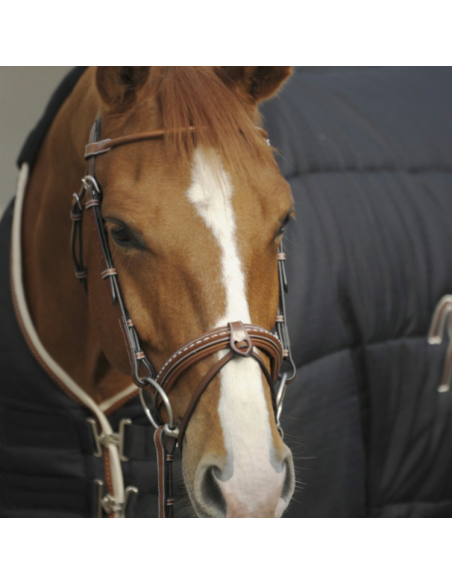 Bridon Penelope "Point Sellier" Noisette