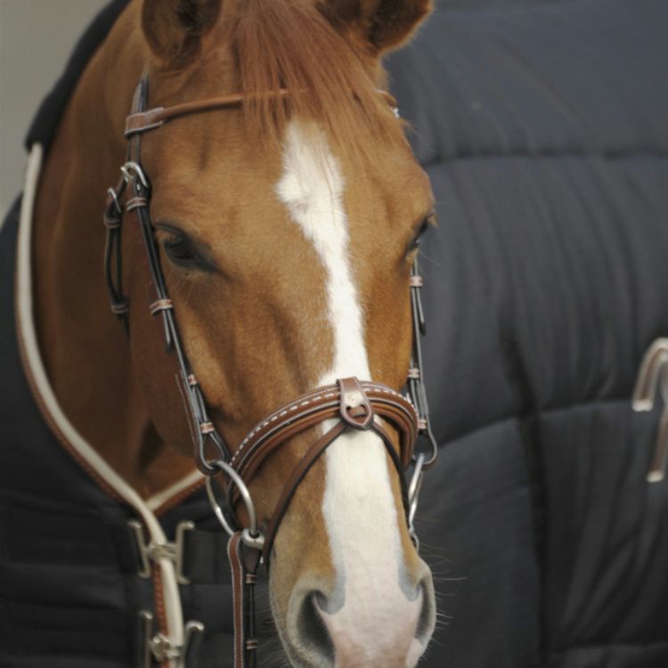 Bridon Penelope "Point Sellier" Noisette