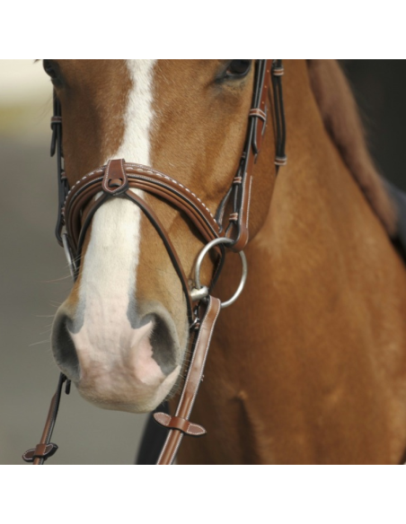 Bridon Penelope "Point Sellier" Noisette