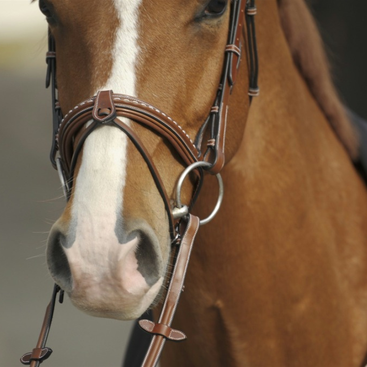 Bridon Penelope "Point Sellier" Noisette