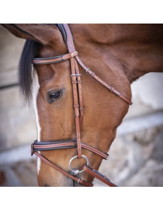 Bridon Penelope "US" Noisette