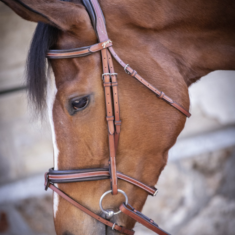 Bridon Penelope "US" Noisette