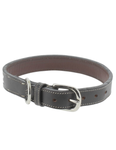 Penelope "Pearl" Dog Collar 2