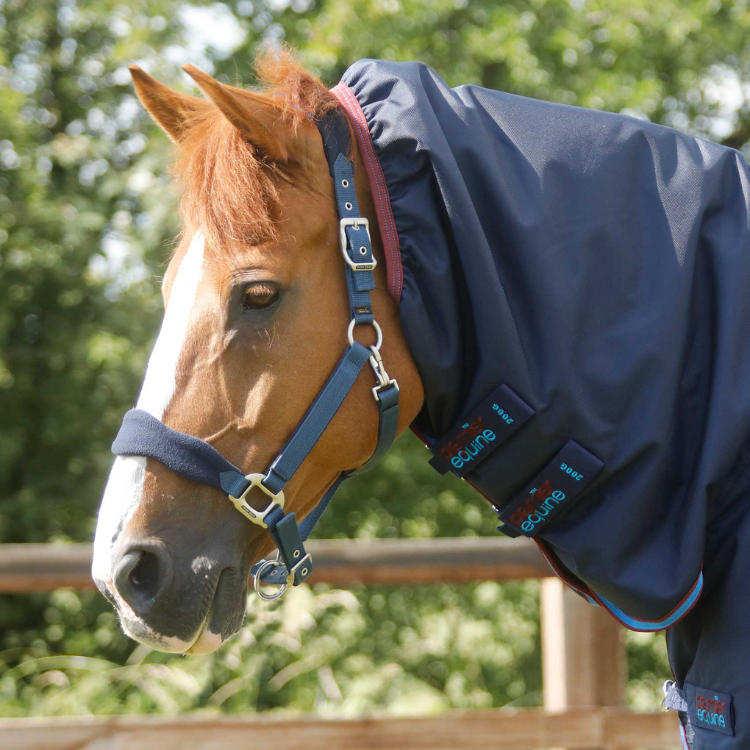 Couverture Premier Equine Titan Storm 200g Avec Couvre Cou Marine