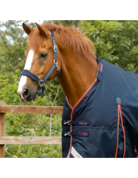 Couverture Premier Equine Buster 100g Avec Couvre Cou Marine