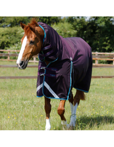 Premier Equine Buster Storm 100g Combo Turnout Rug with Snug-Fit Neck Purple