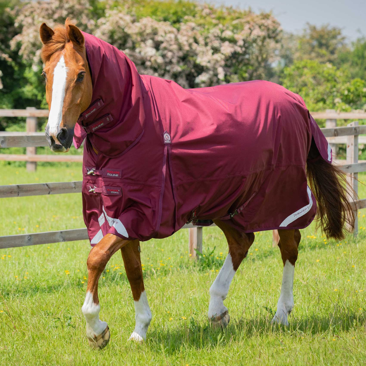Couverture Polaire Séchante Pour Cheval Buster Continental 280g - Taille Unique, Bord Coloré