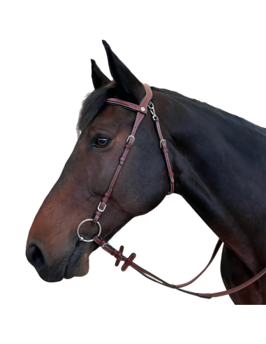 Flags & Cup Freedom Bridle