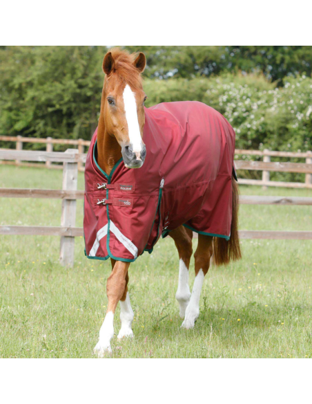 Couverture Premier Equine Titan Original 100g Bordeaux