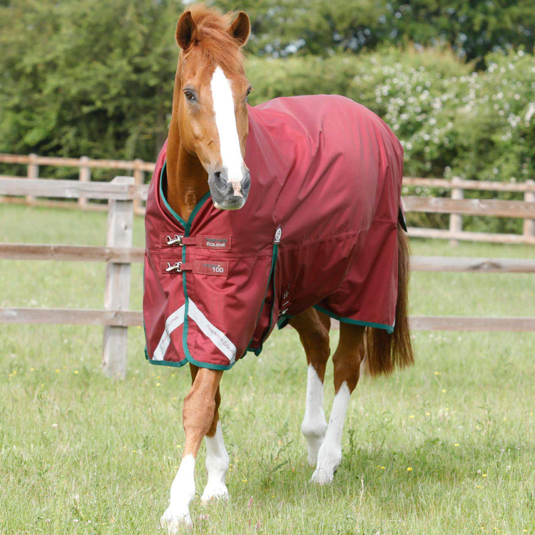 Couverture Premier Equine Titan Original 100g Bordeaux