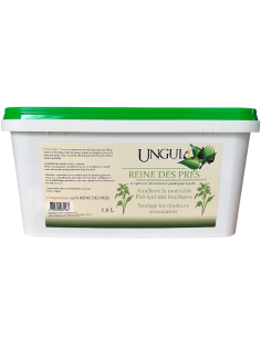 Reine Des Prés Ungula