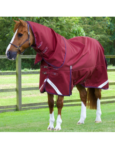 Premier Equine Titan 50g Turnout Rug with Classic Neck Cover Burgundy