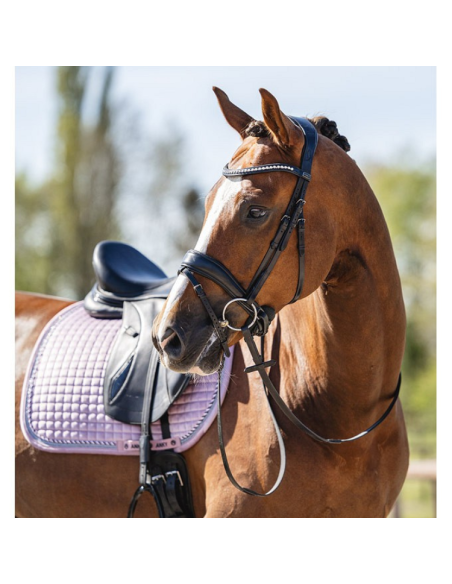 Tapis De Selle Anky Velvet Dressage  mauve shadows