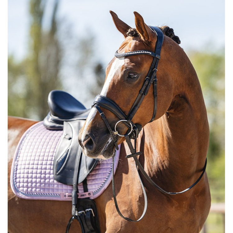 Tapis De Selle Anky Velvet Dressage  mauve shadows