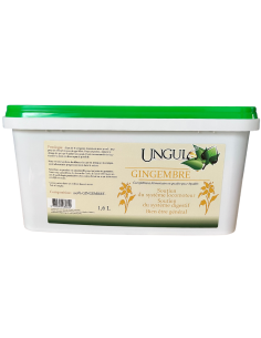 Gingembre Ungula