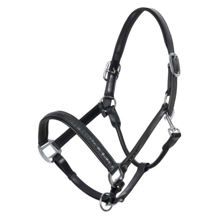 Licol Imperial Riding Florida noir