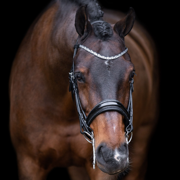 Bridon Imperial Riding Olympia noir/argent