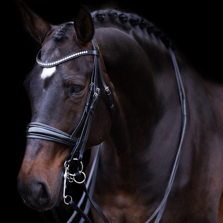Bride Imperial Riding Fria noir