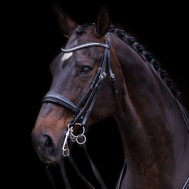 Bride Imperial Riding Fria noir