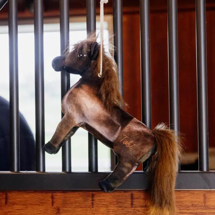 Jouets Relaxant Kentucky Pour Chevaux TOBI