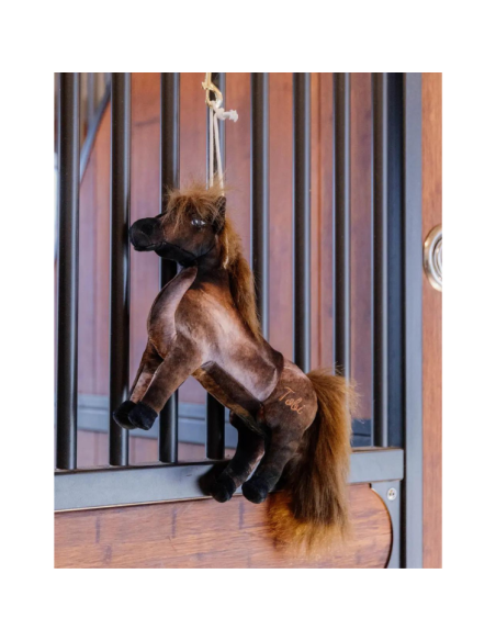 Jouets Relaxant Kentucky Pour Chevaux TOBI