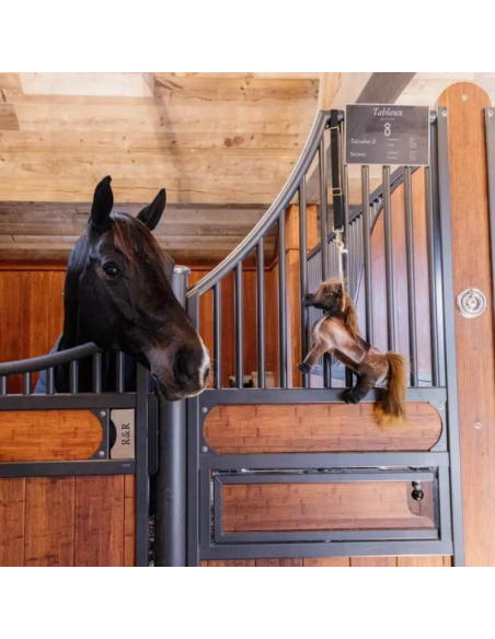 Jouets Relaxant Kentucky Pour Chevaux TOBI