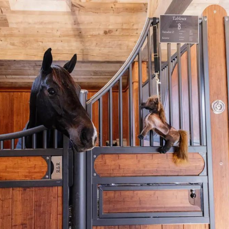 Jouets Relaxant Kentucky Pour Chevaux TOBI