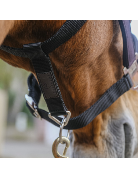 Licol Equithème Nylon Domino Violet