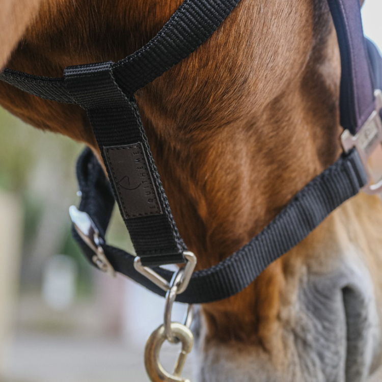 Licol Equithème Nylon Domino Violet