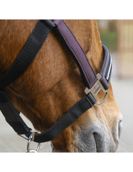 Licol Equithème Nylon Domino Violet