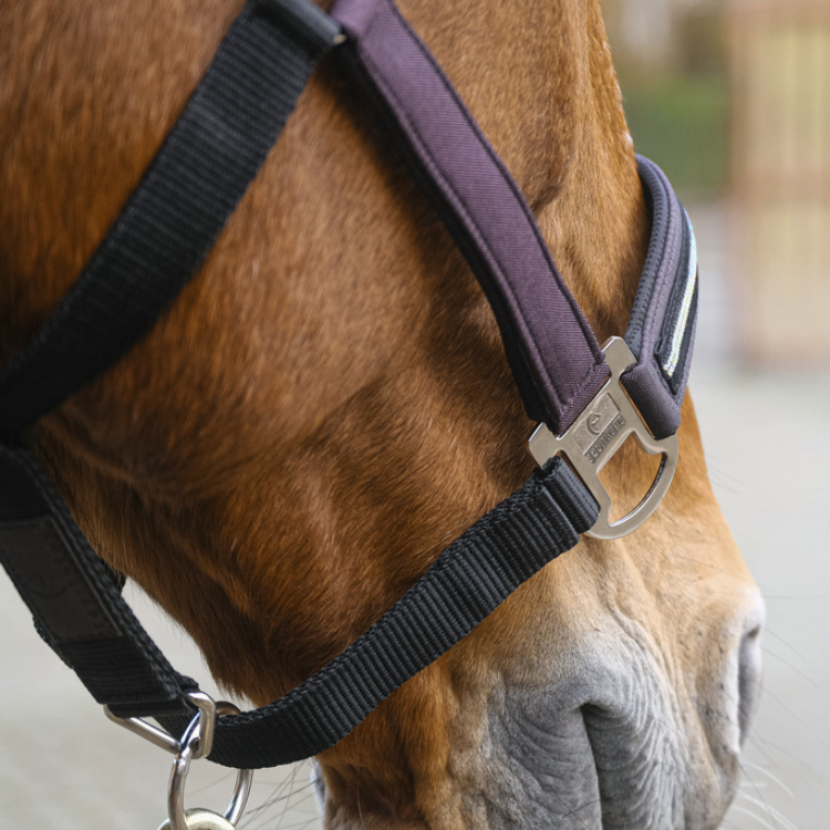 Licol Equithème Nylon Domino Violet