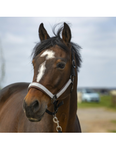 Licol Equithème Nylon Check Noir/marron