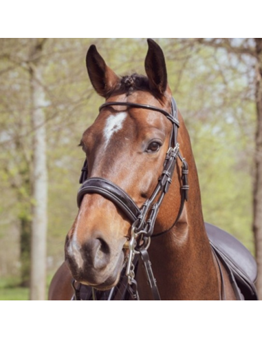 Jump'In One Courchevel Double Bridle Havana