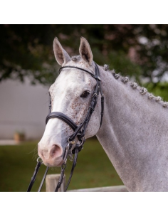 Bride Jump'In Week Vernie Noir