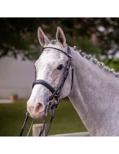 Bride Jump'In Week Vernie Noir